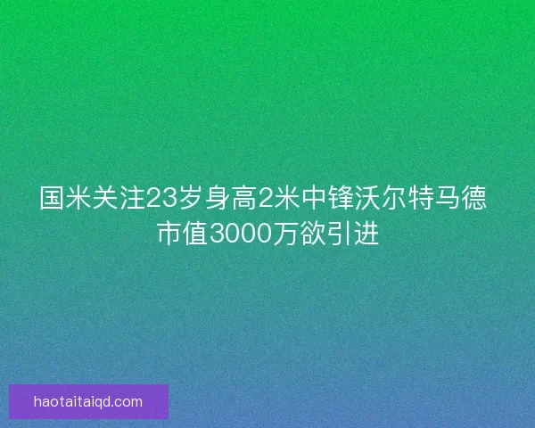 国米关注23岁身高2米中锋沃尔特马德 市值3000万欲引进 国米关注23岁身高2米中锋沃尔特马德 市值3000万欲引进